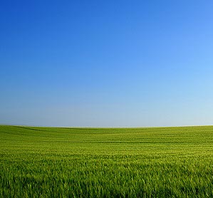 Blue sky over field