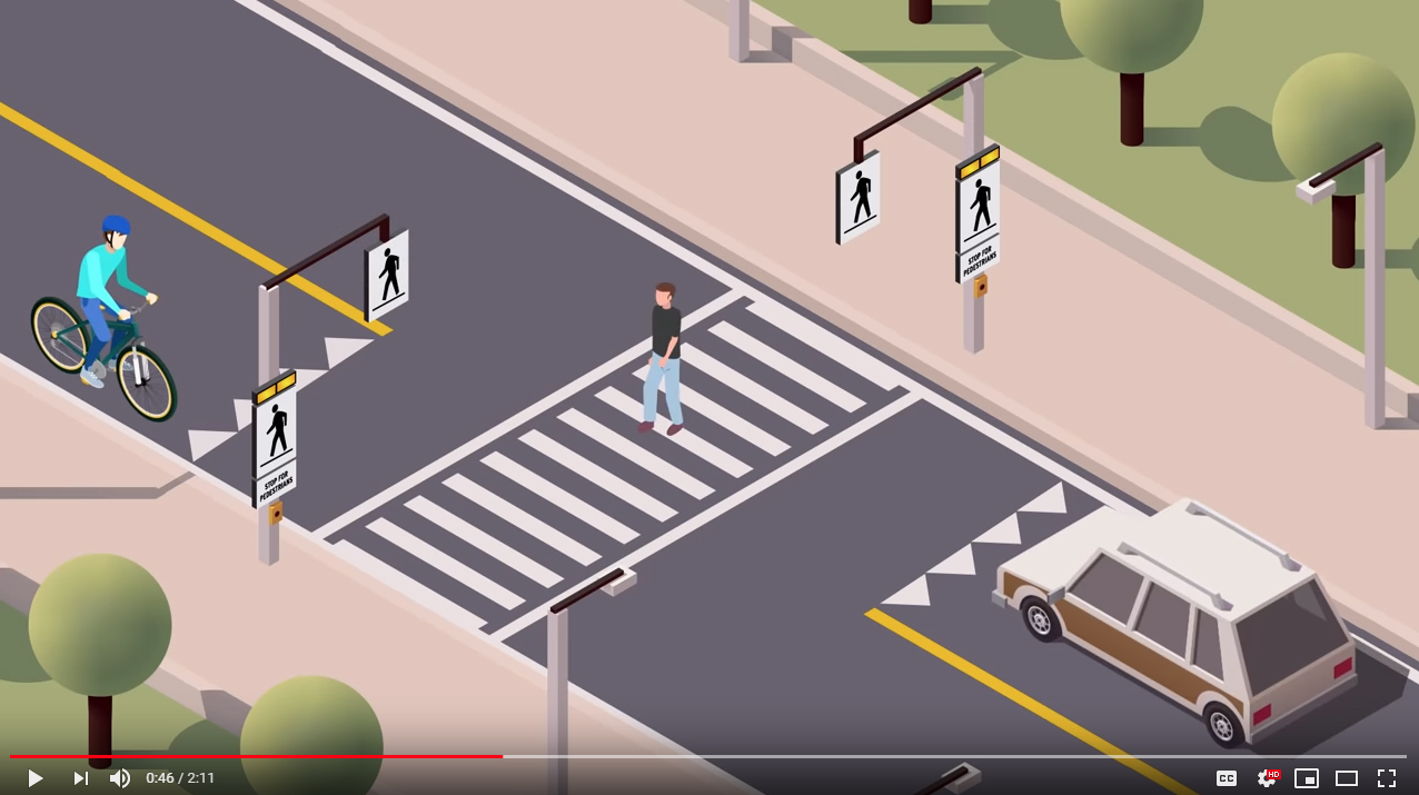 screenshot of pedestrian crossing video