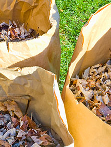 Paper bags with leaves in them