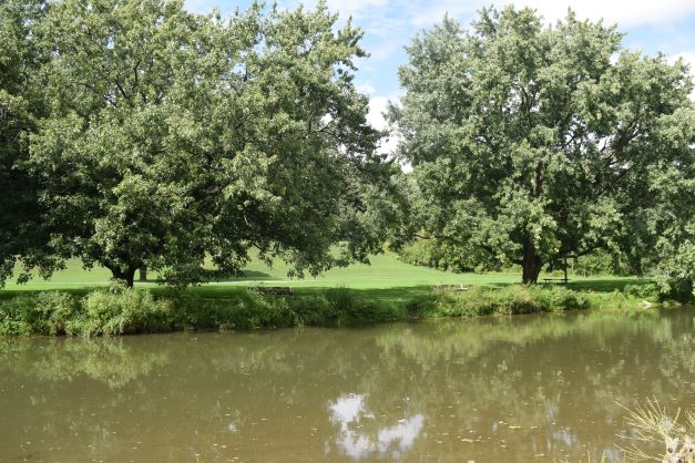 Location of Trout Creek Concert