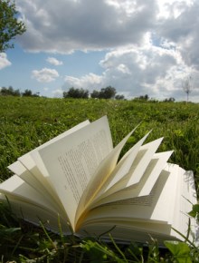book in a grass field with sky in the background