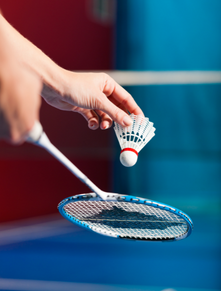 Badminton racket and birdie
