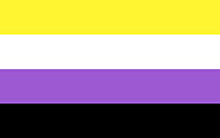 Image of the Non-Binary Flag