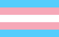 Transgender Flag Image of the Transgender flag